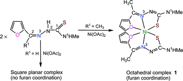 Graphical abstract: Thiosemicarbazone derivatives of nickel and copper: the unprecedented coordination of furan ring in octahedral nickel(ii) and of triphenylphosphine in three-coordinate copper(i) complexes