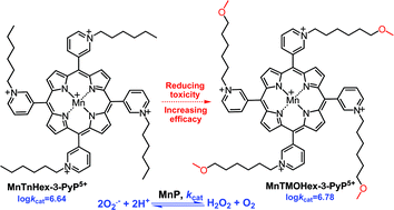 Graphical abstract: Methoxy-derivatization of alkyl chains increases the in vivo efficacy of cationic Mn porphyrins. Synthesis, characterization, SOD-like activity, and SOD-deficient E. coli study of meta Mn(iii) N-methoxyalkylpyridylporphyrins