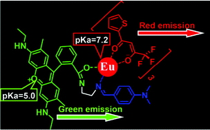 Graphical abstract: pH-sensitive fluorescent sensors based on europium(iii) complexes