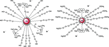 Graphical abstract: Synthesis, characterization, DNA interaction and potential applications of gold nanoparticles functionalized with Acridine Orange fluorophores