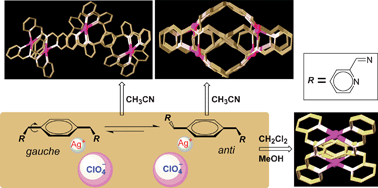 Graphical abstract: Conformational supramolecular isomerism in one-dimensional silver(i) coordination polymer of a flexible bis(bidentate)N,N-donor ligand with p-xylyl spacer