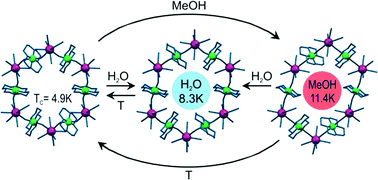 Graphical abstract: Microporous {[Ni(cyclam)]3[W(CN)8]2}n affording reversible structural and magnetic conversions