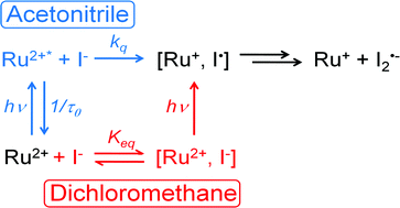 Graphical abstract: Influence of ion pairing on the oxidation of iodide by MLCT excited states
