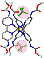 Graphical abstract: Anion binding by metallo-receptors of 5,5′-dicarbamate-2,2′-bipyridine ligands