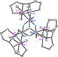 Graphical abstract: Trinuclear rhodium hydride complexes
