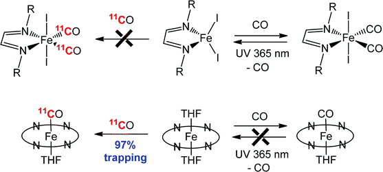 Graphical abstract: Binding and photodissociation of CO in iron(ii) complexes for application in positron emission tomography (PET) radiolabelling