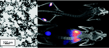 Graphical abstract: Biocompatible inorganic nanoparticles for [18F]-fluoride binding with applications in PET imaging