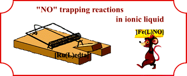 Graphical abstract: Thermodynamic and kinetic studies on the interaction of RuIII(edta) with NO in an ionic liquid