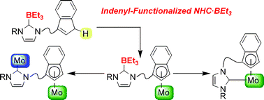 Graphical abstract: Indenyl-functionalised triethylborane adduct of N-heterocyclic carbene: stepwise coordination of indenyl and NHC ligands toward molybdenum fragment