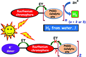 Graphical abstract: Light-induced charge separation and photocatalytic hydrogen evolution from water using RuIIPtII-based molecular devices: Effects of introducing additional donor and/or acceptor sites