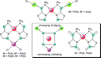 Graphical abstract: Chelating or bridging Pd(ii) and Pt(ii) metalloligands from the functional phosphine ligand N-(diphenylphosphino)-1,3,4-thiadiazol-2-amine. New heterometallic Pd(ii)/Pt(ii) and Pt(ii)/Au(i) complexes