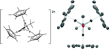 Graphical abstract: Synthesis and X-ray crystal structure of a novel organometallic (μ3-oxido)(μ3-imido) trinuclear iridium complex