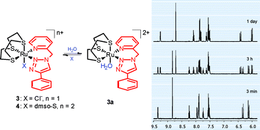 Graphical abstract: 1-(2-Picolyl)-substituted 1,2,3-triazole as novel chelating ligand for the preparation of ruthenium complexes with potential anticancer activity