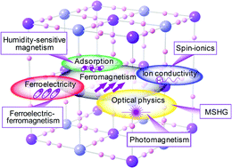 Graphical abstract: Novel magnetic functionalities of Prussian blue analogs