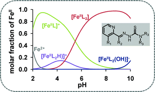 Graphical abstract: Interaction of Triapine and related thiosemicarbazones with iron(iii)/(ii) and gallium(iii): a comparative solution equilibrium study