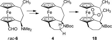 Graphical abstract: Unusual carbamate-directed CH-activation at an annulated ferrocenophane framework