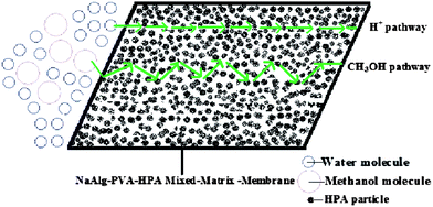 Graphical abstract: Sodium-alginate-based proton-exchange membranes as electrolytes for DMFCs