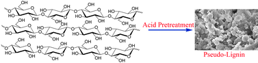 Graphical abstract: Pseudo-lignin and pretreatment chemistry