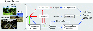 Graphical abstract: Catalytic routes for the conversion of biomass into liquid hydrocarbon transportation fuels