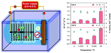 Graphical abstract: Hydrogen production, methanogen inhibition and microbial community structures in psychrophilic single-chamber microbial electrolysis cells