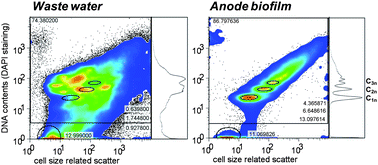 Graphical abstract: Revealing the electrochemically driven selection in natural community derived microbial biofilms using flow-cytometry