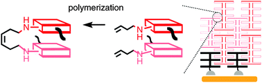 Graphical abstract: Toward polymerized artificial photosystems with supramolecular n/p-heterojunctions and antiparallel redox gradients