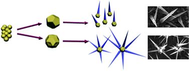 Graphical abstract: Palladium thorn clusters as catalysts for electrooxidation of formic acid