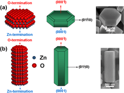 Graphical abstract: Polar interface-induced improvement in high photocatalytic hydrogen evolution over ZnO–CdS heterostructures