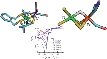 Graphical abstract: A nickel–manganese catalyst as a biomimic of the active site of NiFe hydrogenases: a combined electrocatalytical and DFT mechanistic study