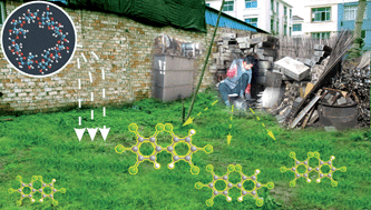 Graphical abstract: β-cyclodextrin enhanced phytoremediation of aged PCBs-contaminated soil from e-waste recycling area