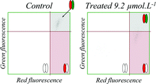 Graphical abstract: Monitoring of a flame retardant (tetrabromobisphenol A) toxicity on different microalgae assessed by flow cytometry