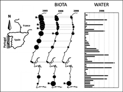 Graphical abstract: Nucella lapillus L. imposex levels after legislation prohibiting TBT antifoulants: temporal trends from 2003 to 2008 along the Portuguese coast