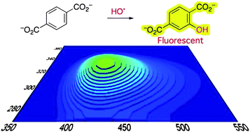 Graphical abstract: Terephthalate as a probe for photochemically generated hydroxyl radical