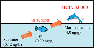 Graphical abstract: Detection of benzotriazole UV stabilizers in the blubber of marine mammals by gas chromatography-high resolution mass spectrometry (GC-HRMS)
