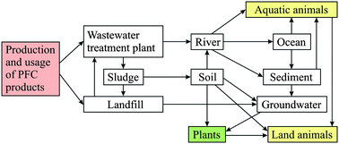 Graphical abstract: Polyfluoroalkyl compounds in the aquatic environment: a review of their occurrence and fate