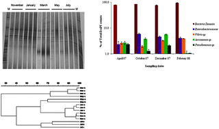 Graphical abstract: Evaluating seasonal dynamics of bacterial communities in marine fish aquaculture: a preliminary study before applying phage therapy