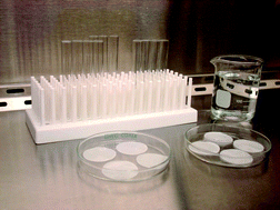 Graphical abstract: Pre-sampling contamination of filters used in measurements of airborne (1 → 3)-β-d-glucan based on glucan-specific Limulus amebocyte lysate assay