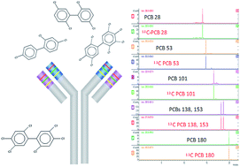 Graphical abstract: Immunoassay-based screening of polychlorinated biphenyls (PCB) in sediments: requirements for a new generation of test kits