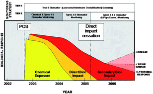 Graphical abstract: Application of a battery of biomarkers in mussel digestive gland to assess long-term effects of the Prestige oil spill in Galicia and Bay of Biscay: Correlation and multivariate analysis