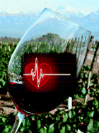 Graphical abstract: Dealcoholized red wine reverse vascular remodeling in an experimental model of metabolic syndrome: role of NAD(P)H oxidase and eNOS activity