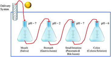 Graphical abstract: Review of in vitro digestion models for rapid screening of emulsion-based systems