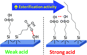 Graphical abstract: Interdependent lateral interactions, hydrophobicity and acid strength and their influence on the catalytic activity of nanoporous sulfonic acid silicas