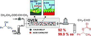 Graphical abstract: Supported Ionic Liquid-Like Phases (SILLPs) for enzymatic processes: Continuous KR and DKR in SILLP–scCO2 systems