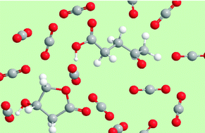 Graphical abstract: Solubility of bio-sourced feedstocks in ‘green’ solvents