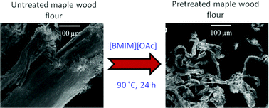 Graphical abstract: Ionic liquid solvent properties as predictors of lignocellulose pretreatment efficacy