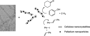 Graphical abstract: Cellulose nanocrystallites as an efficient support for nanoparticles of palladium: application for catalytic hydrogenation and Heck coupling under mild conditions