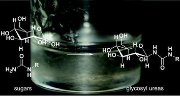 Graphical abstract: Efficient preparation of β-d-glucosyl and β-d-mannosyl ureas and other N-glucosides in carbohydrate melts