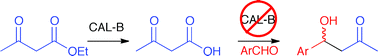 Graphical abstract: Lipase CAL-B does not catalyze a promiscuous decarboxylative aldol addition or Knoevenagel reaction