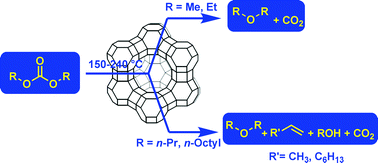 Graphical abstract: Decarboxylation of dialkyl carbonates to dialkyl ethers over alkali metal-exchanged faujasites