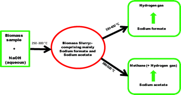 Graphical abstract: Hydrothermal reactions of sodium formate and sodium acetate as model intermediate products of the sodium hydroxide-promoted hydrothermal gasification of biomass